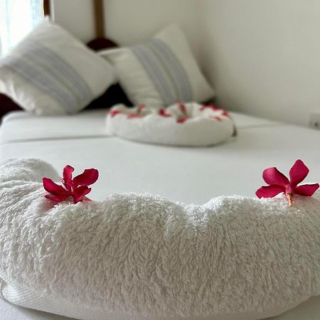 Shamba Lodge Nungwi Zewnętrze zdjęcie