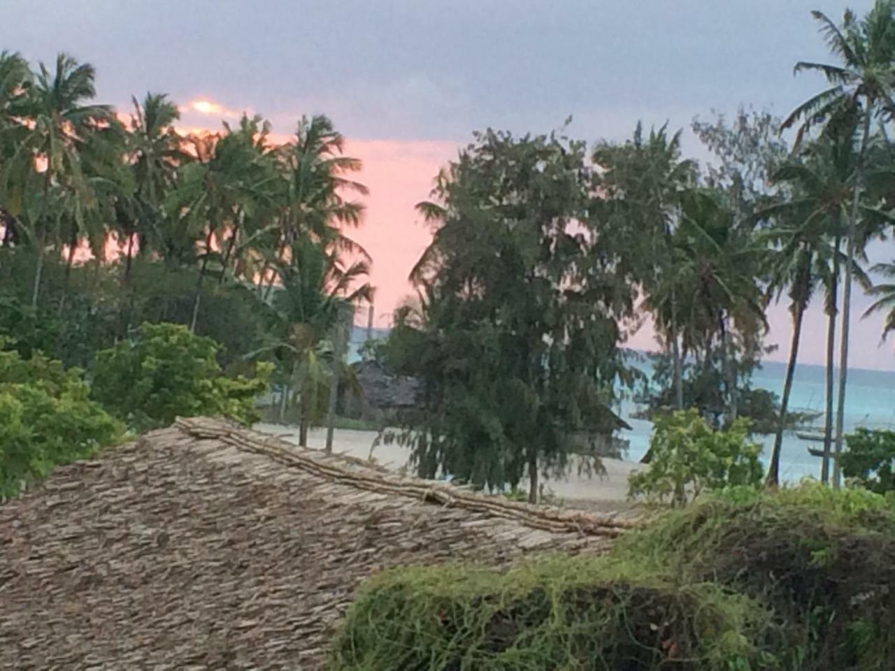 Shamba Lodge Nungwi Zewnętrze zdjęcie